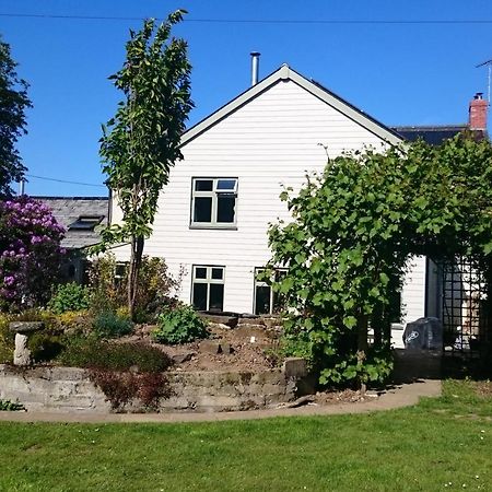 Bed and Breakfast Claw House à Holsworthy Extérieur photo